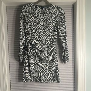 Zara zebra-striped, long sleeve mini dress G-3